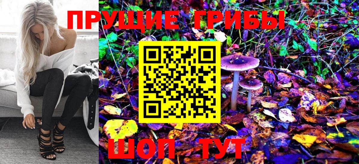 Мариинск  купить наркотики цена  Вход с VPN  Псилоцибиновые грибы MAGIC MUSHROOMS 